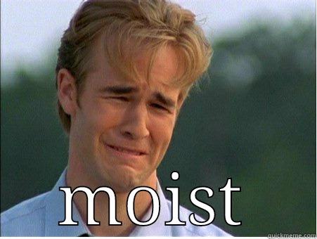  MOIST 1990s Problems