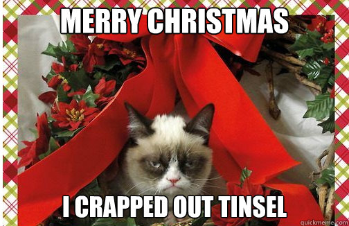 merry christmas I crapped out tinsel  Grumpy Cat Christmas Carol