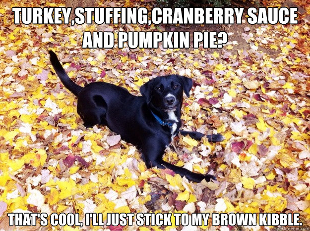 Turkey,Stuffing,Cranberry Sauce and Pumpkin Pie?  That's cool, I'll just stick to my brown kibble.  Guilt Giving Good Dog