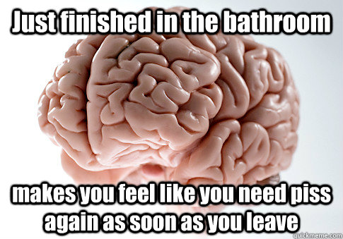 Just finished in the bathroom makes you feel like you need piss again as soon as you leave   Scumbag Brain