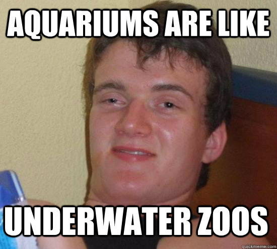 Aquariums are like Underwater Zoos - Aquariums are like Underwater Zoos  Misc