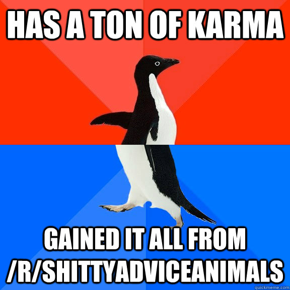 has a ton of karma gained it all from /r/shittyadviceanimals  Socially Awesome Awkward Penguin