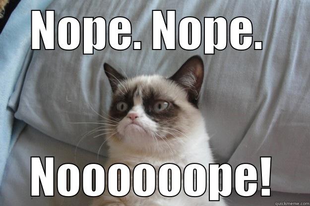 NOPE. NOPE.  NOOOOOOPE! Grumpy Cat