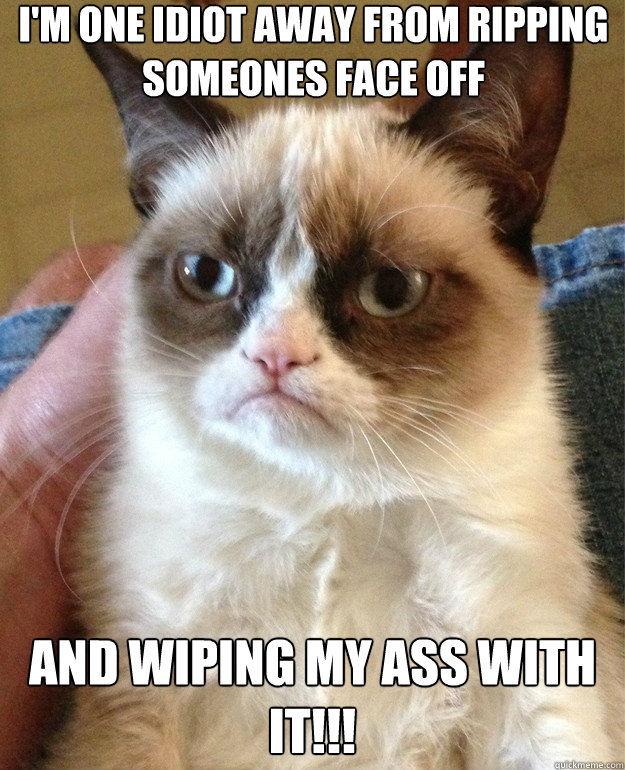 I'm one idiot away from ripping someones face off and wiping my ass with it!!! - I'm one idiot away from ripping someones face off and wiping my ass with it!!!  Misc