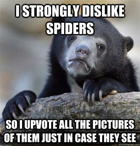 I strongly dislike spiders so i upvote all the pictures of them just in case they see  Confession Bear