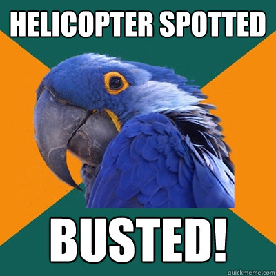 helicopter spotted busted!  Paranoid Parrot