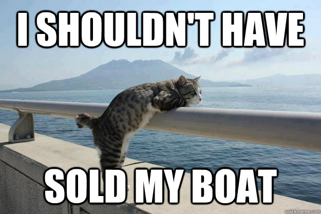 I shouldn't have sold my boat - I shouldn't have sold my boat  daydreamer cat