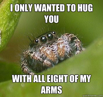 I only wanted to hug you with all eight of my arms  Misunderstood Spider