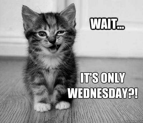 Wait... IT'S ONLY
WEDNESDAY?!  Only Wednesday