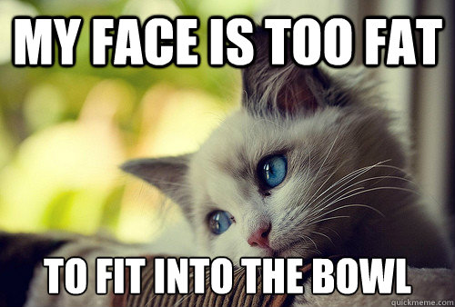 My face is too fat to fit into the bowl - My face is too fat to fit into the bowl  First World Cat Problems