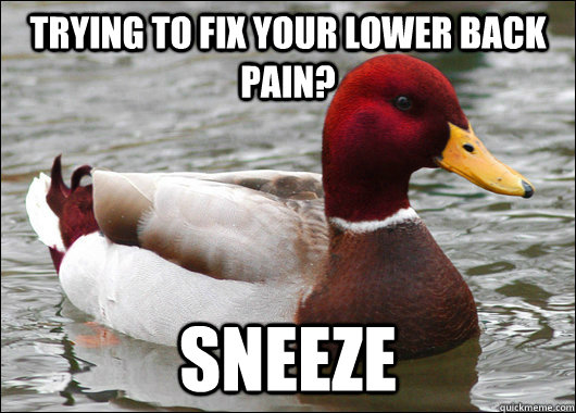 Trying to fix your lower back pain? Sneeze  Malicious Advice Mallard