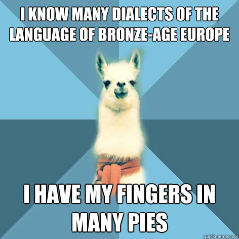 i know many dialects of the language of bronze-age europe i have my fingers in many pies  Linguist Llama