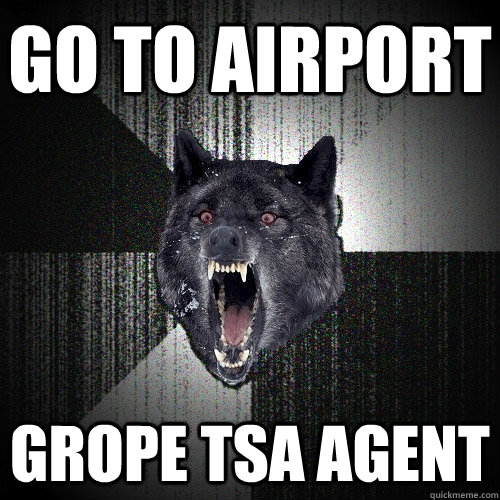 go to airport grope tsa agent  Insanity Wolf