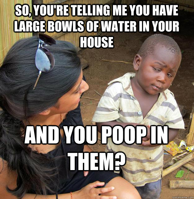 So, you're telling me you have large bowls of water in your house and you poop in them? - So, you're telling me you have large bowls of water in your house and you poop in them?  Skeptical Black Kid