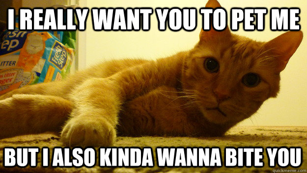 i really want you to pet me but i also kinda wanna bite you - i really want you to pet me but i also kinda wanna bite you  HUEYCAT