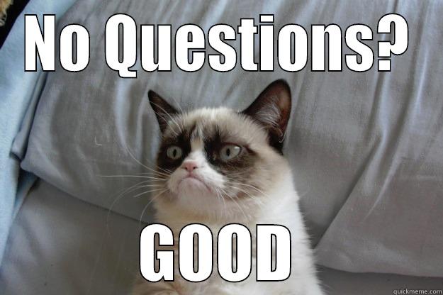 no questions - NO QUESTIONS? GOOD Grumpy Cat