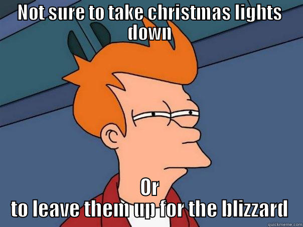 NOT SURE TO TAKE CHRISTMAS LIGHTS DOWN OR TO LEAVE THEM UP FOR THE BLIZZARD Futurama Fry