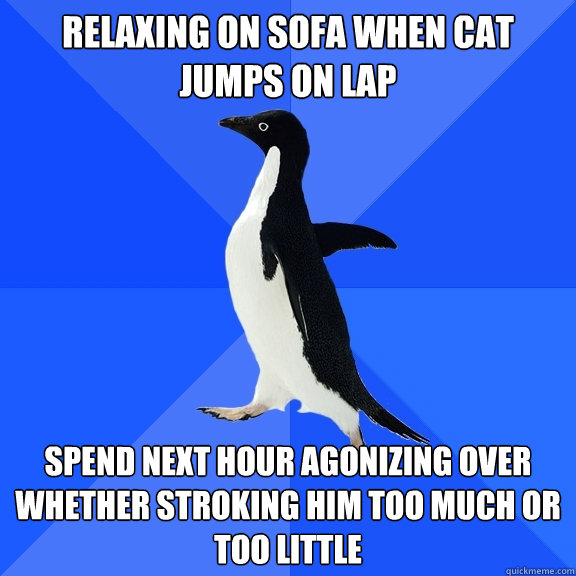 Relaxing on sofa when cat jumps on lap Spend next hour agonizing over whether stroking him too much or too little  Socially Awkward Penguin
