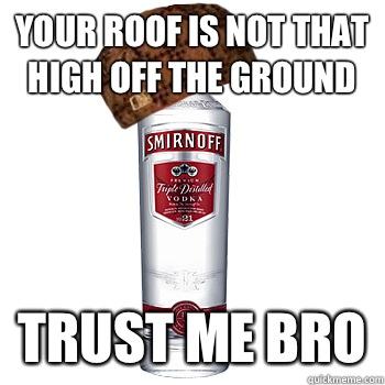 Your roof is not that high off the ground  trust me bro - Your roof is not that high off the ground  trust me bro  Scumbag Alcohol