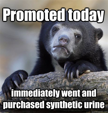 Promoted today immediately went and purchased synthetic urine  Confession Bear