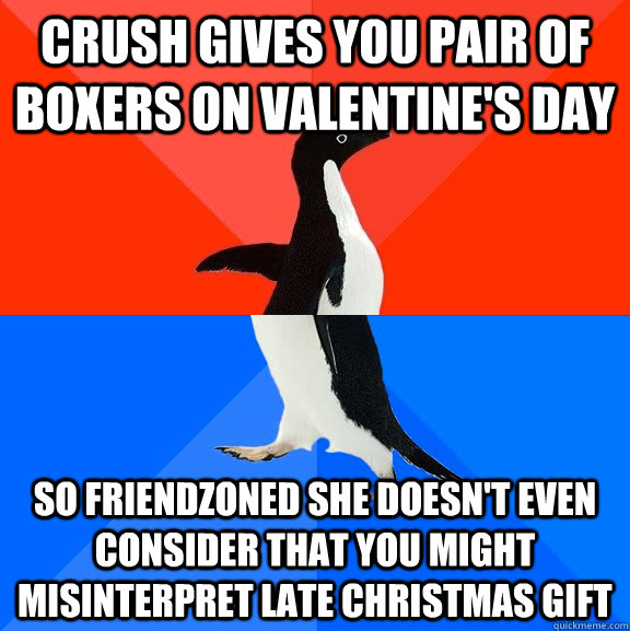 crush gives you pair of boxers on valentine's day so friendzoned she doesn't even consider that you might misinterpret late christmas gift  Socially Awesome Awkward Penguin
