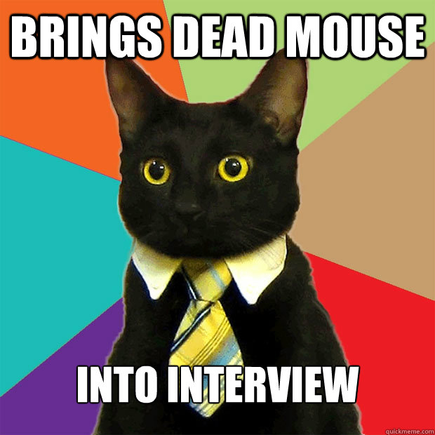 brings dead mouse  into interview  Business Cat