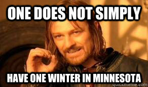 One does not simply have one Winter in Minnesota  