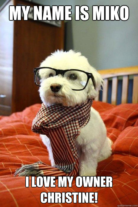 My name is Miko I love my owner Christine!  Hipster Dog