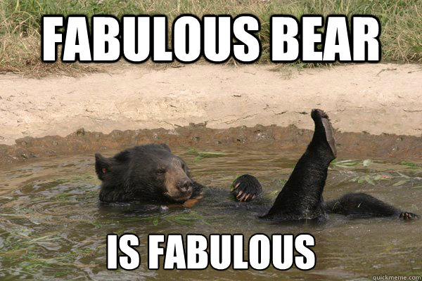 Fabulous bear is fabulous  