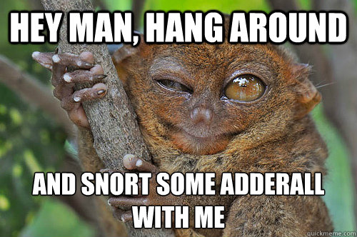 Hey Man, Hang around  and snort some adderall with me  Peer Pressure Tarsier
