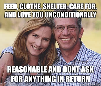 Feed, clothe, shelter, care for, and love you unconditionally Reasonable and dont ask for anything in return  Good guy parents