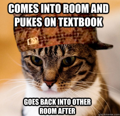 Comes into room and pukes on textbook Goes back into other room after  Scumbag Cat