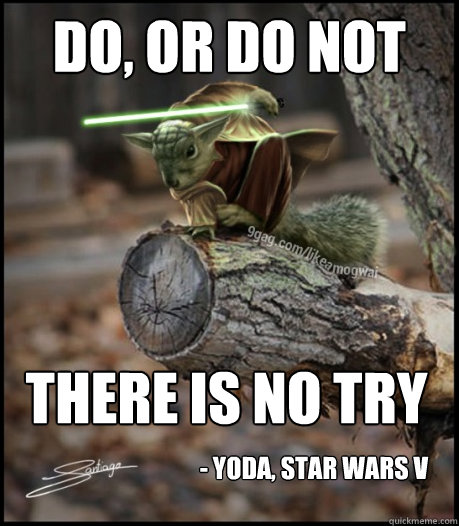Do, or do not there is no try - Yoda, Star wars v - Do, or do not there is no try - Yoda, Star wars v  Yoda squirrel