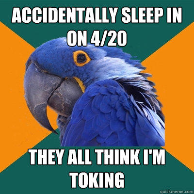 accidentally sleep in on 4/20 they all think I'm toking - accidentally sleep in on 4/20 they all think I'm toking  Paranoid Parrot