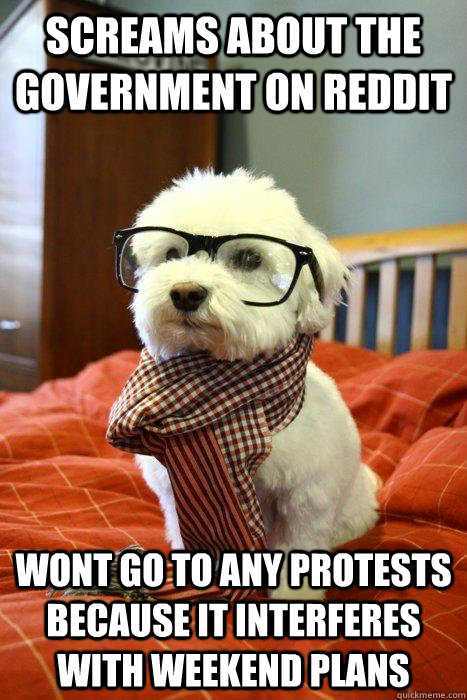 Screams about the government on reddit wont go to any protests because it interferes with weekend plans - Screams about the government on reddit wont go to any protests because it interferes with weekend plans  Hipster Dog