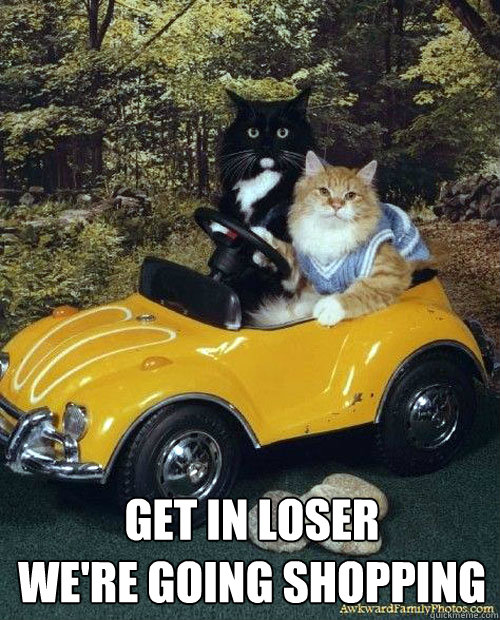 GET IN LOSER WE'RE GOING SHOPPING Mean Cats quickmeme