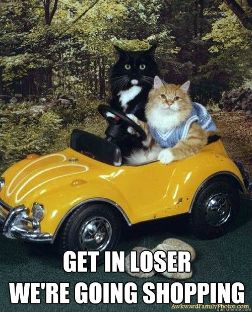  GET IN LOSER
WE'RE GOING SHOPPING -  GET IN LOSER
WE'RE GOING SHOPPING  Mean Cats