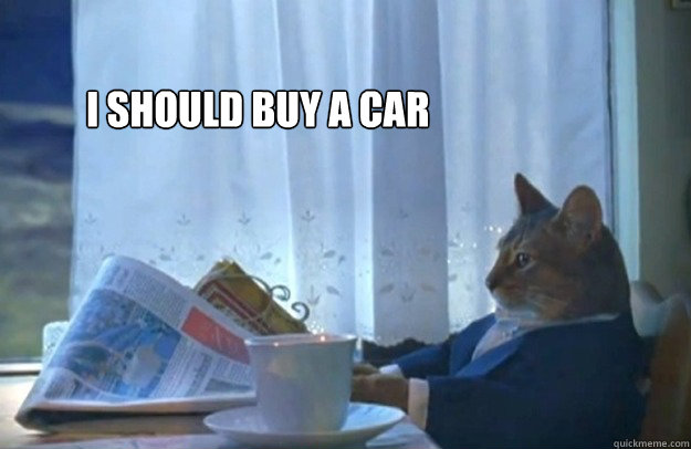 I should buy a car - I should buy a car  Sophisticated Cat