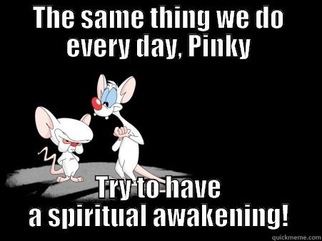 Spiritual Brain - THE SAME THING WE DO EVERY DAY, PINKY TRY TO HAVE A SPIRITUAL AWAKENING! Misc