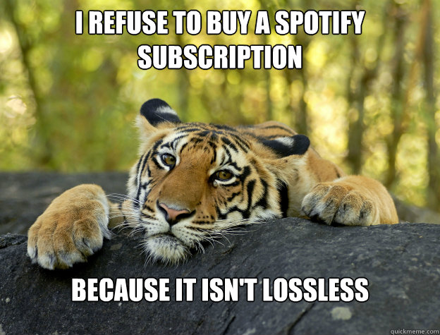 I refuse to buy a spotify subscription because it isn't lossless  Confession Tiger