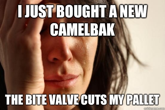 I just bought a new Camelbak  The bite valve cuts my pallet   First World Problems