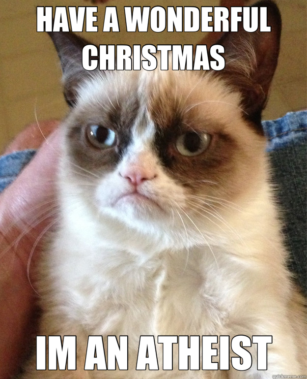 HAVE A WONDERFUL CHRISTMAS IM AN ATHEIST  Grumpy Cat
