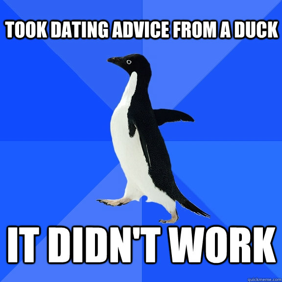 Took dating advice from a duck It didn't work - Took dating advice from a duck It didn't work  Socially Awkward Penguin