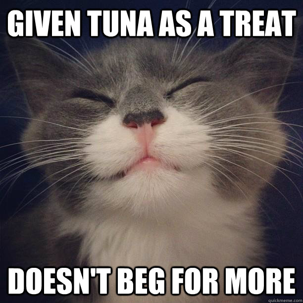 Given tuna as a treat Doesn't beg for more  Good Cat Greg