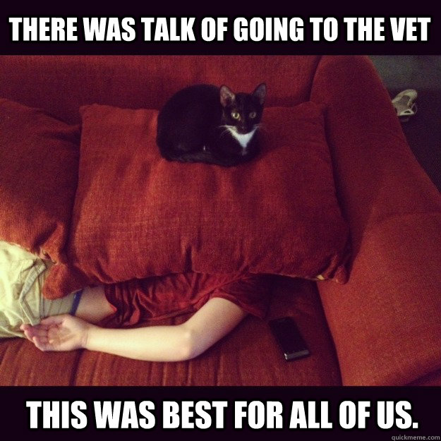There was talk of going to the vet This was best for all of us.  jealous cat