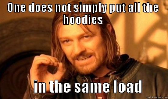 ONE DOES NOT SIMPLY PUT ALL THE HOODIES              IN THE SAME LOAD         Boromir