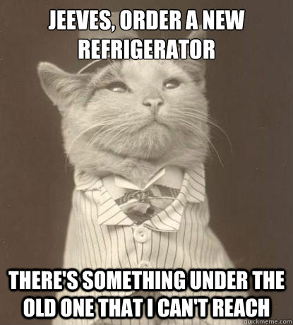 jeeves, order a new refrigerator there's something under the old one that I can't reach - jeeves, order a new refrigerator there's something under the old one that I can't reach  Aristocat