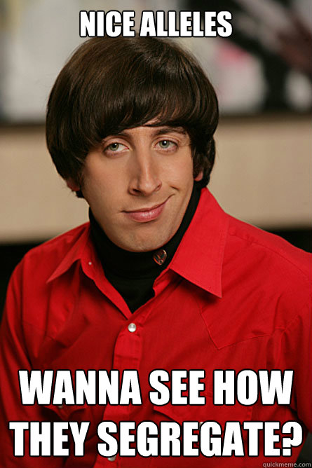 Nice alleles Wanna see how they segregate?  Pickup Line Scientist