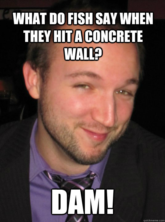 What Do Fish Say When They Hit A Concrete Wall? Dam!  Bad Pun Guy