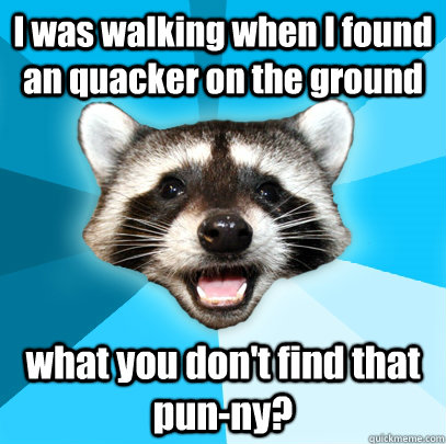 I was walking when I found an quacker on the ground what you don't find that pun-ny?  Lame Pun Coon